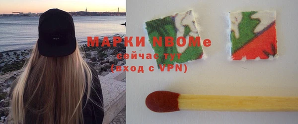 стаф Баксан