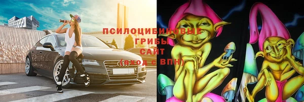 ГАЛЛЮЦИНОГЕННЫЕ ГРИБЫ Покачи