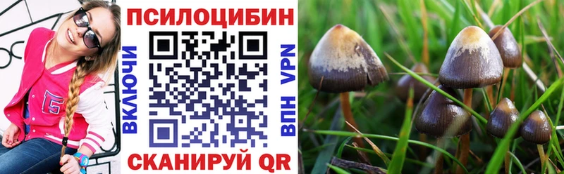 Галлюциногенные грибы Cubensis  Белёв 